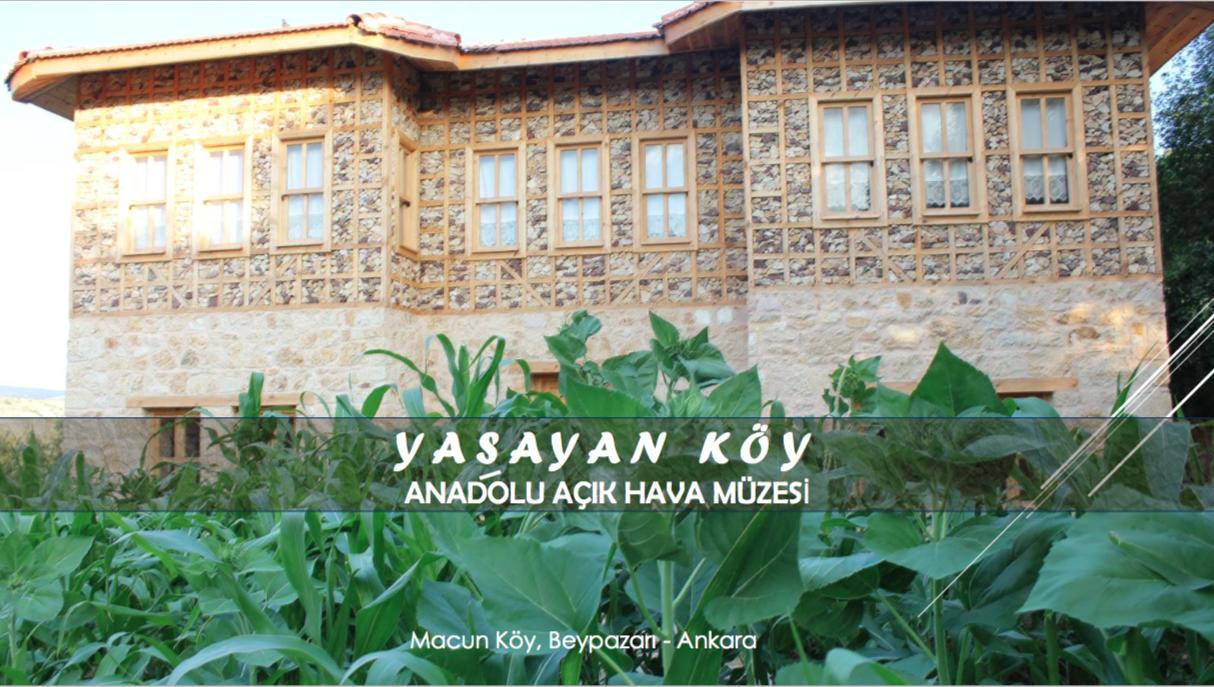 فندق Kizilcasogutفي  Yasayan Koy المظهر الخارجي الصورة